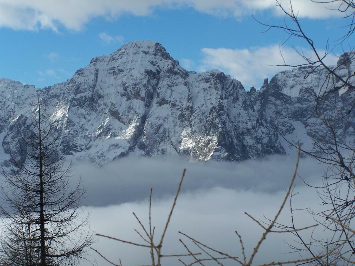 Balcone Sulle Dolomiti Apartment