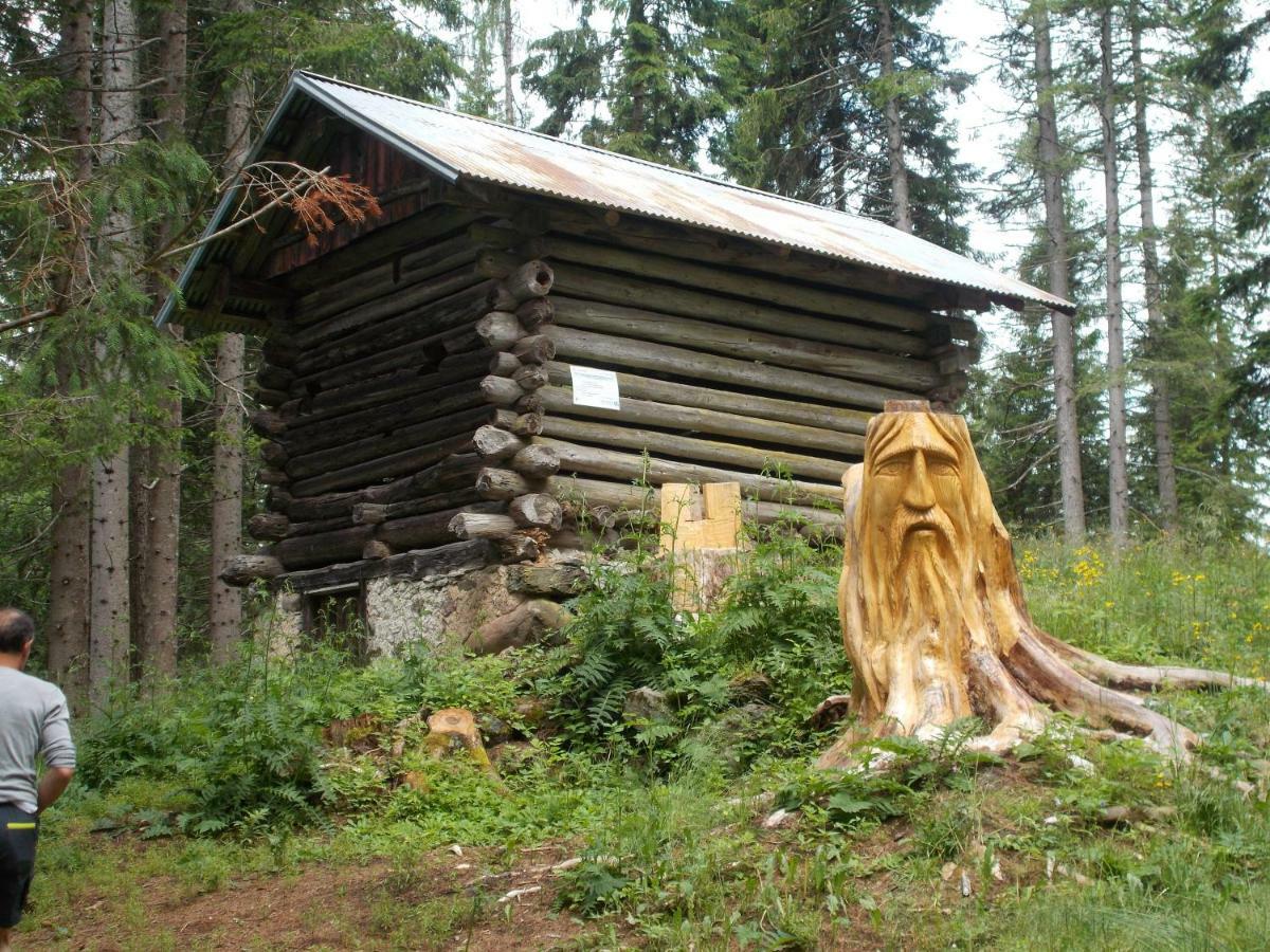 Balcone Sulle Dolomiti * Comèlico Superiore