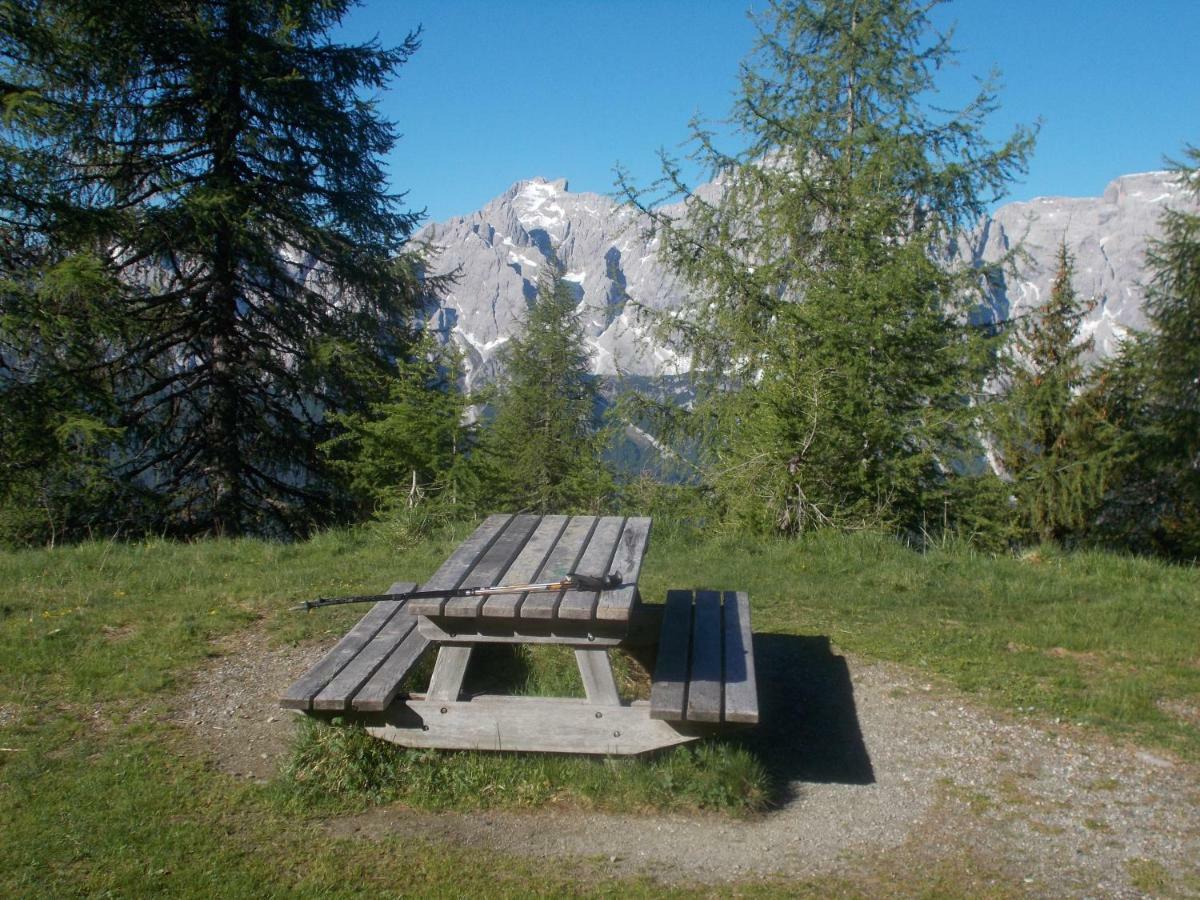 Apartment Balcone Sulle Dolomiti