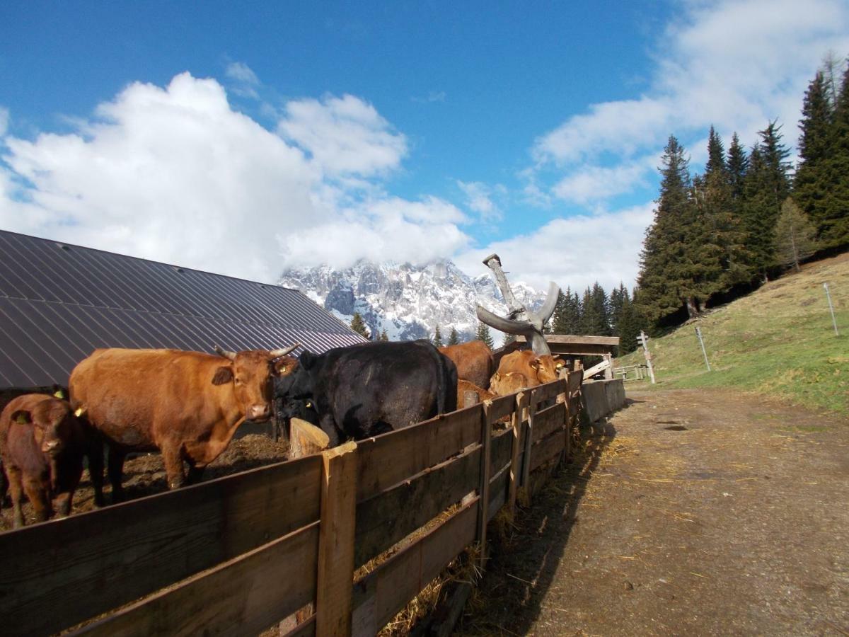 Appartement Balcone Sulle Dolomiti Comèlico Superiore