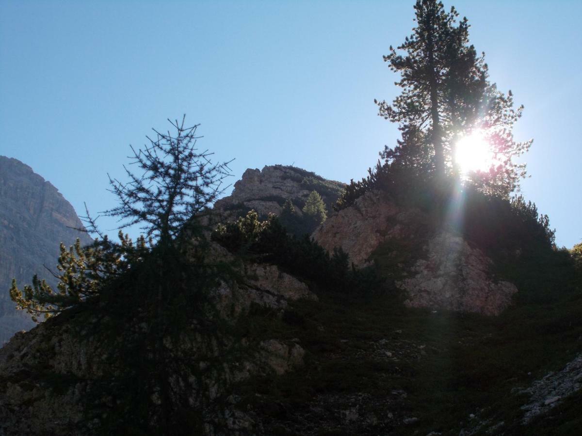 Balcone Sulle Dolomiti Apartment *