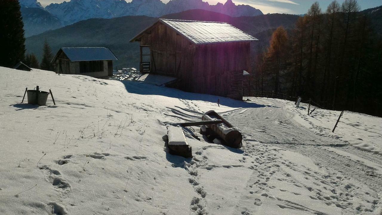 Balcone Sulle Dolomiti Apartment Comelico Superiore